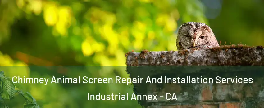 Chimney Animal Screen Repair And Installation Services Industrial Annex - CA