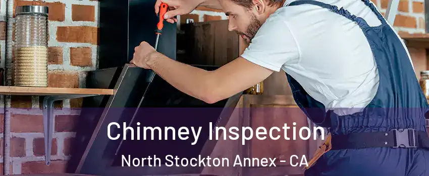 Chimney Inspection North Stockton Annex - CA