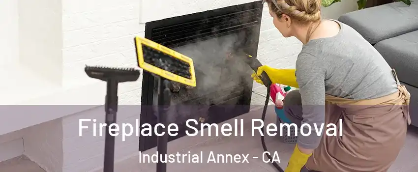 Fireplace Smell Removal Industrial Annex - CA