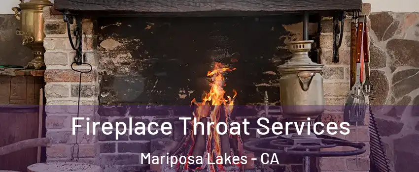 Fireplace Throat Services Mariposa Lakes - CA