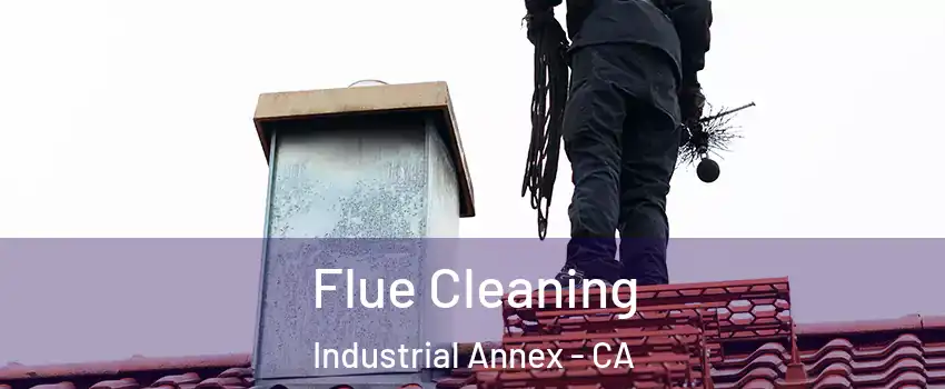 Flue Cleaning Industrial Annex - CA