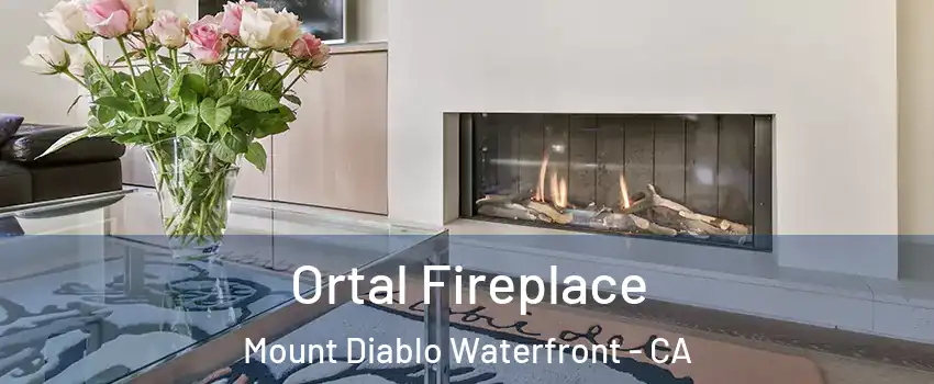 Ortal Fireplace Mount Diablo Waterfront - CA