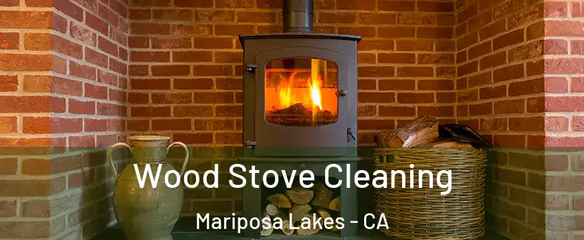 Wood Stove Cleaning Mariposa Lakes - CA